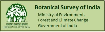Botanical Survey of India