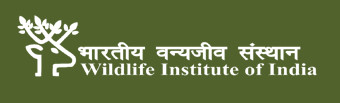 Wildlife Institute of India