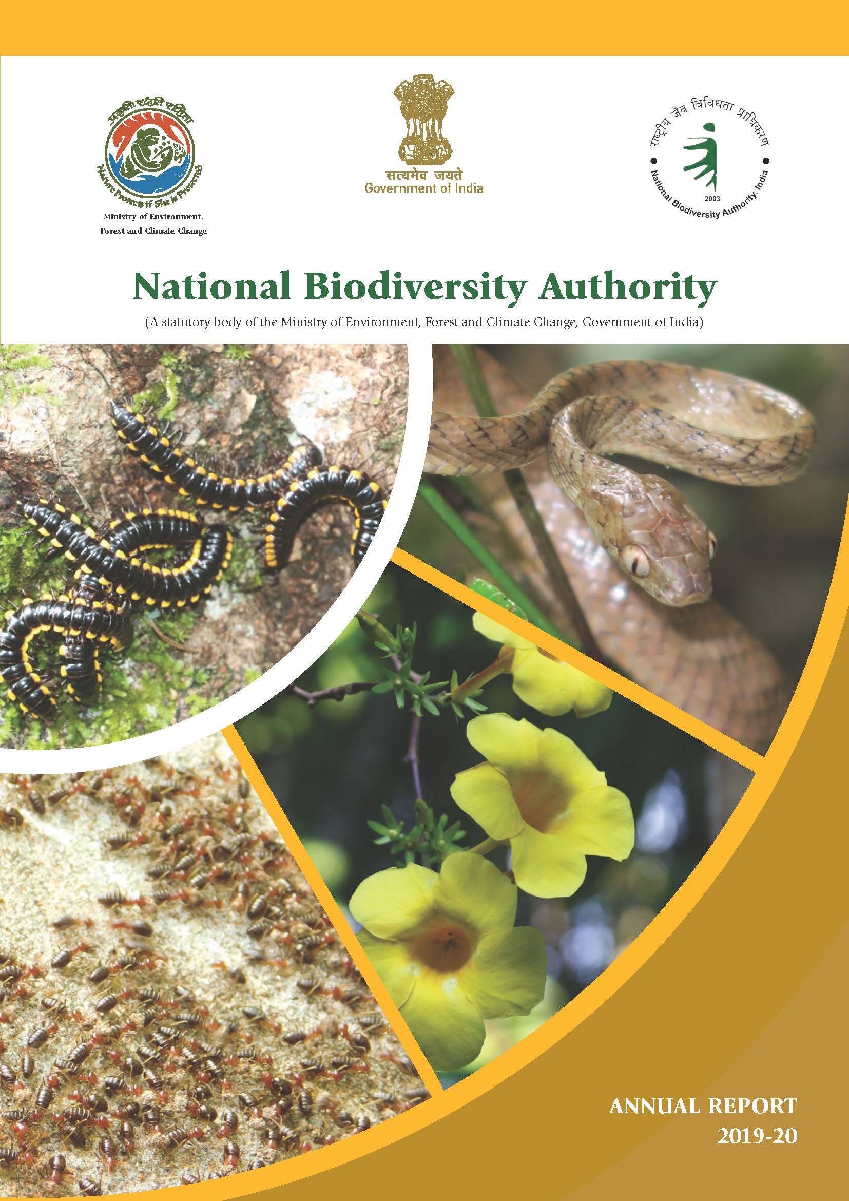 Annual Report (2019-2020)