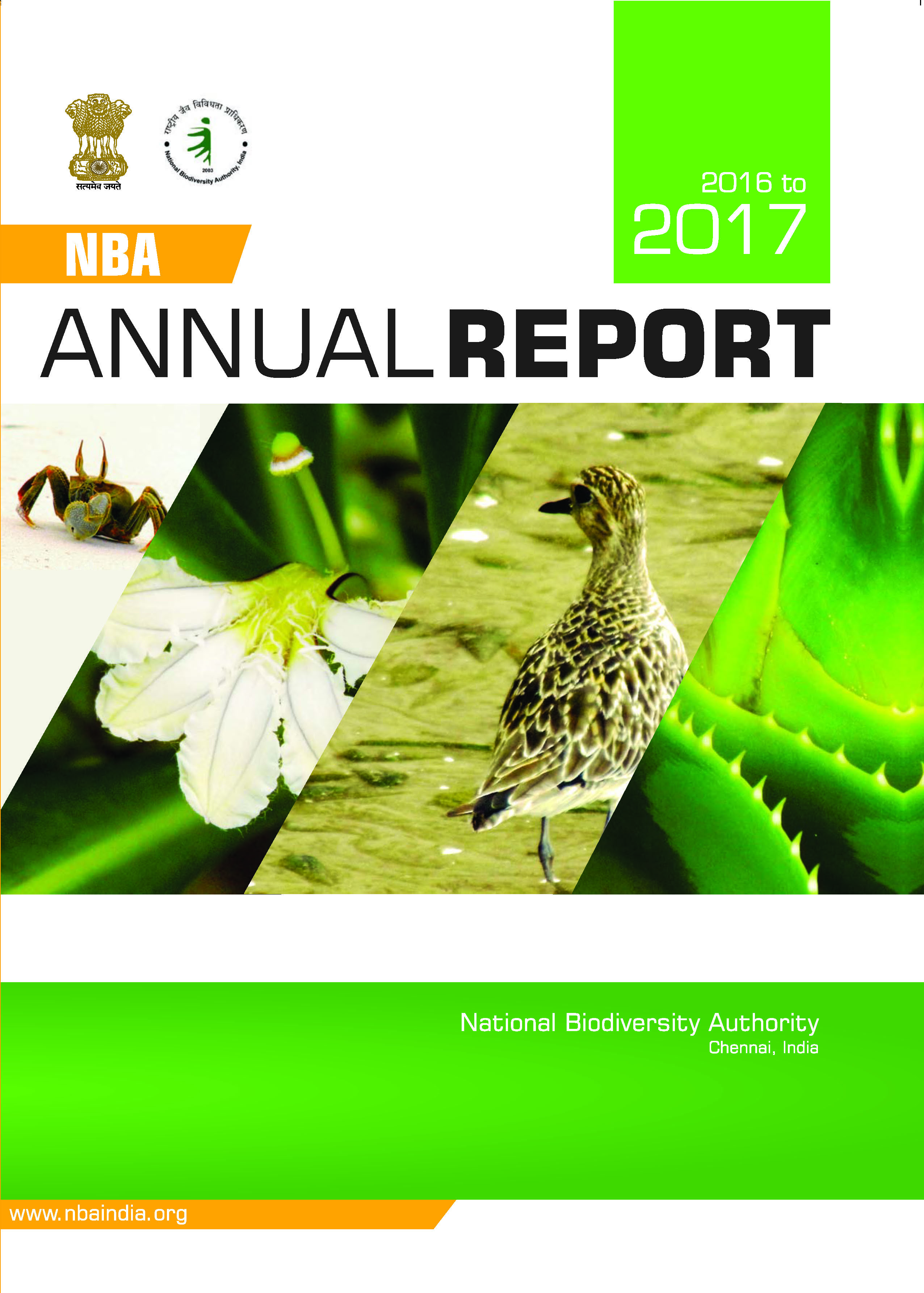 Annual Report (2016-2017)