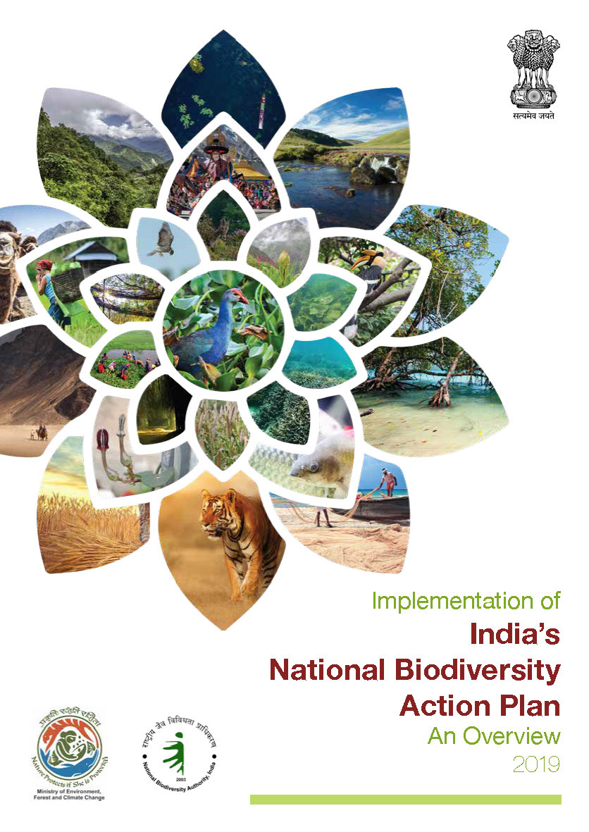Sixth National Report