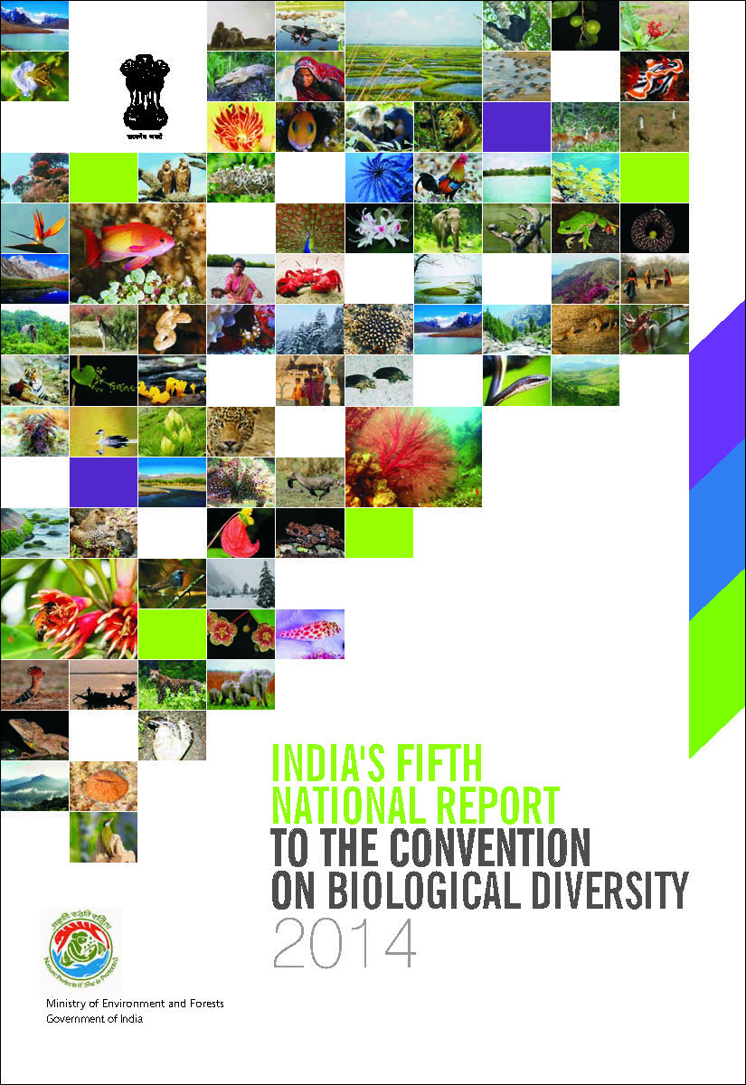 Fifth National Report 