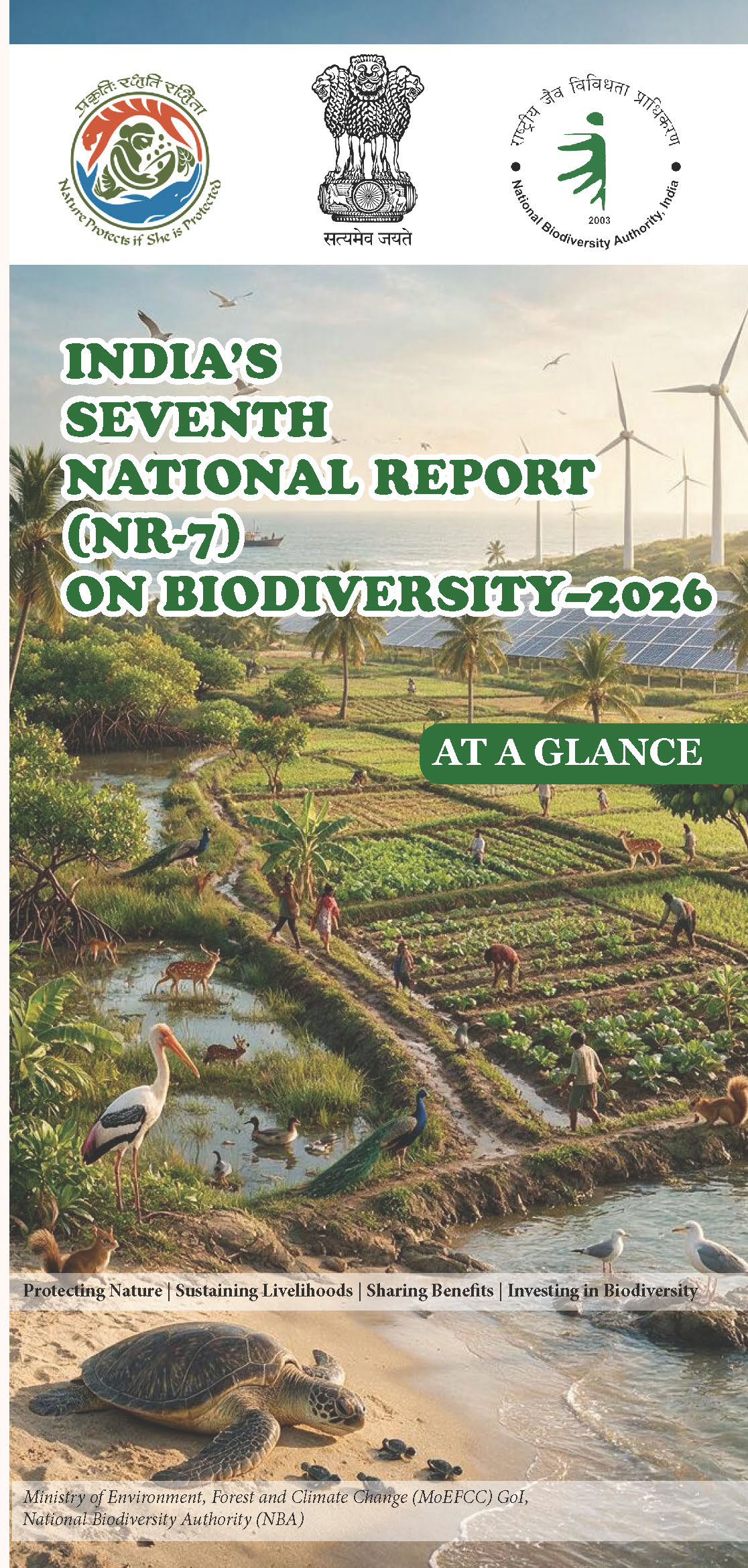 Brochure on National Report 7