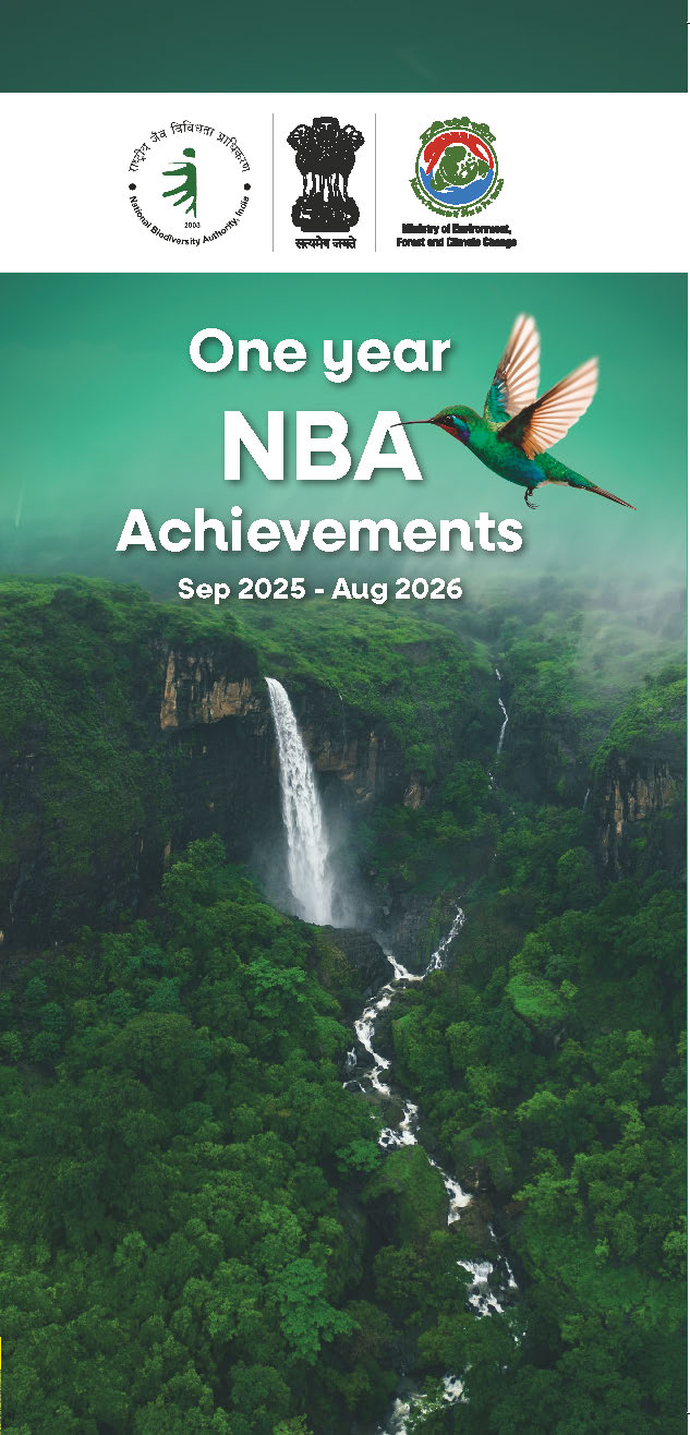 One Year NBA Achievements (Sep,2025 - Aug,2026)