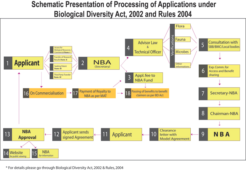 Application Form Process