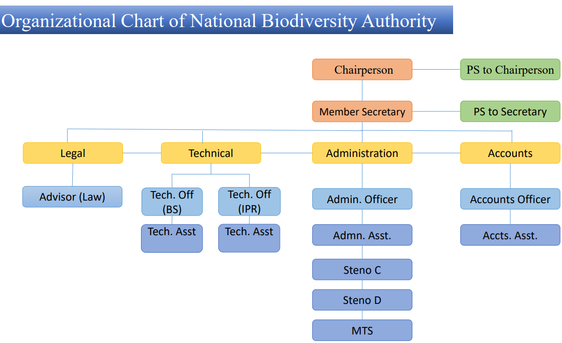 Organogram